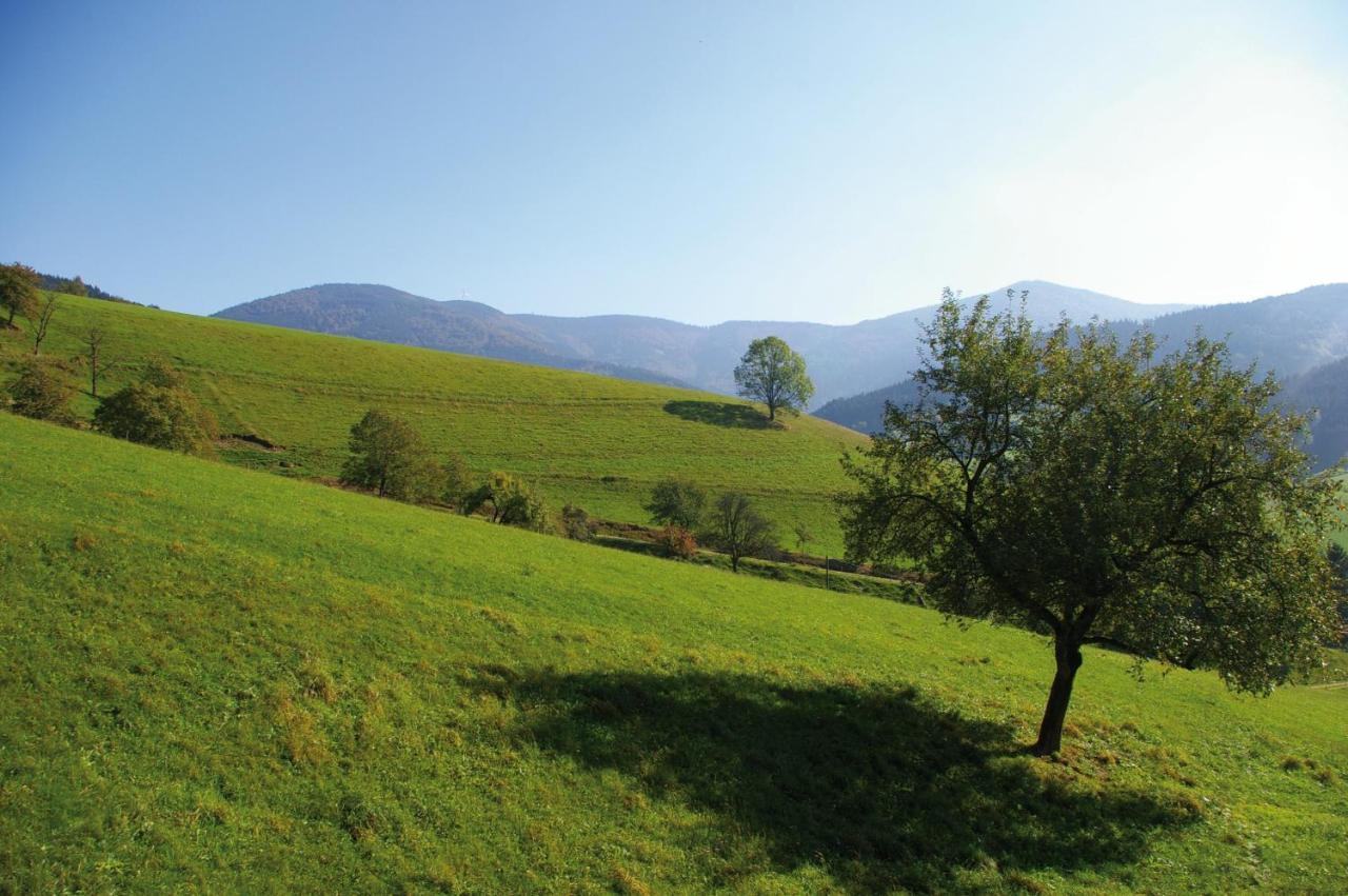 Zeitraum Ferienwohnung Tafelbuehl Elzach Dış mekan fotoğraf